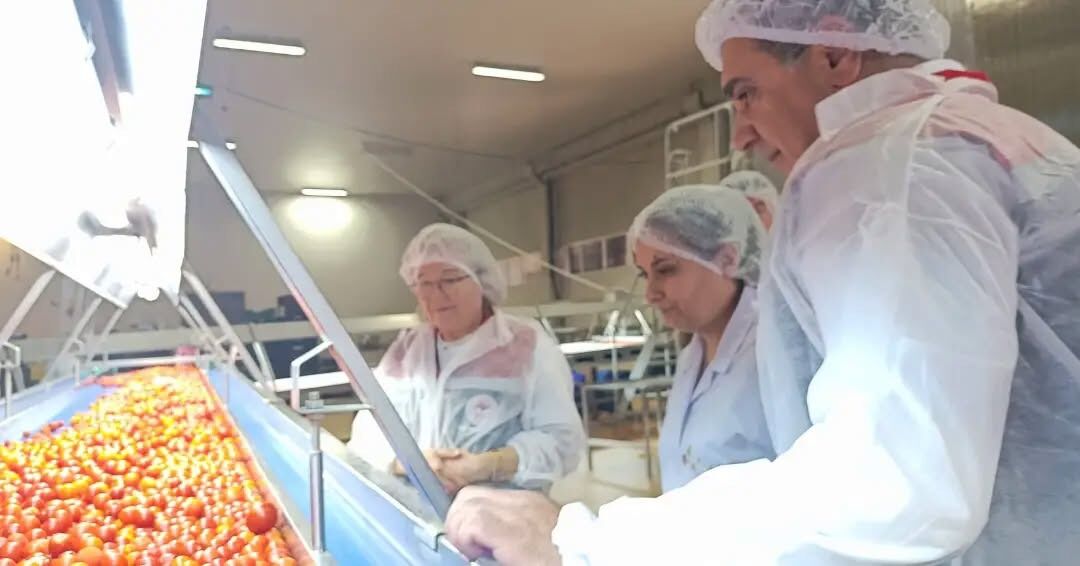 Aydın’ın ‘Dondurulmuş’ Meyveleri Dünya Pazarında (1)