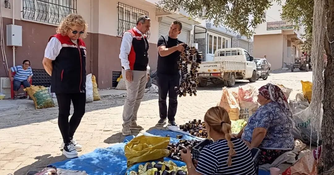 Aydın’ın “Patlıcan Vadisi”nde geleneksel, modern ile buluşuyor