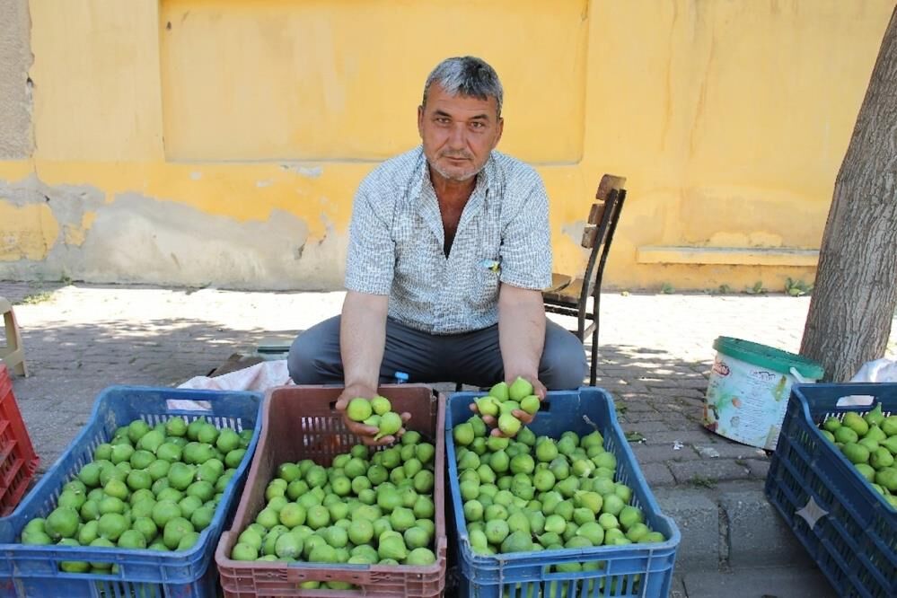 Aydınlı Üreticiden Gençlere Emek Çağrısı “Üretmezsek Kaybetmeye Mahkum Oluruz” (2)