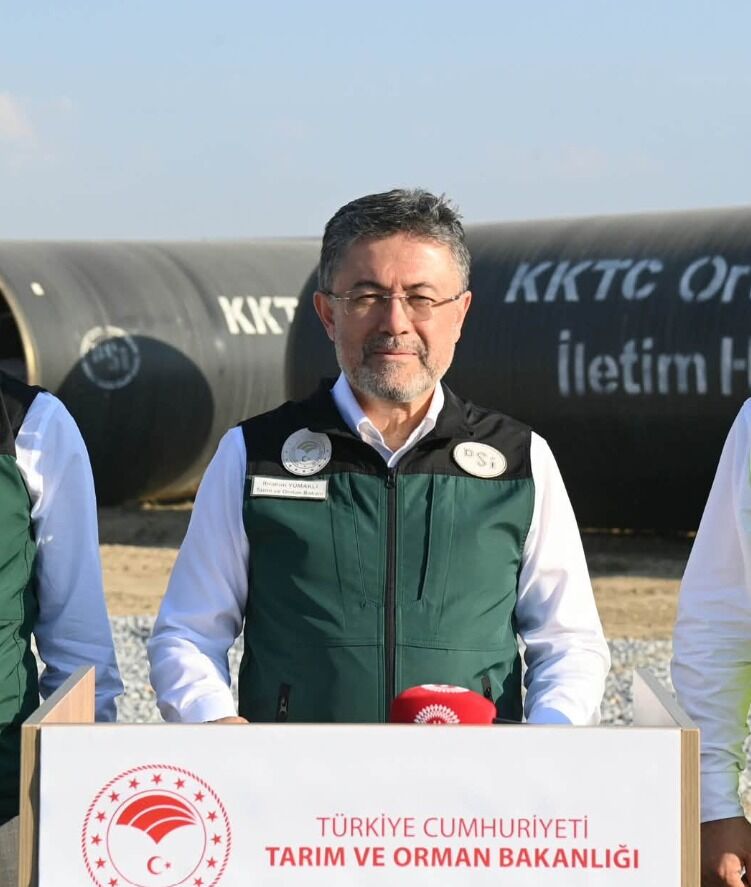 Bakan Yumaklı Çine yangınındaki son durumu açıkladı