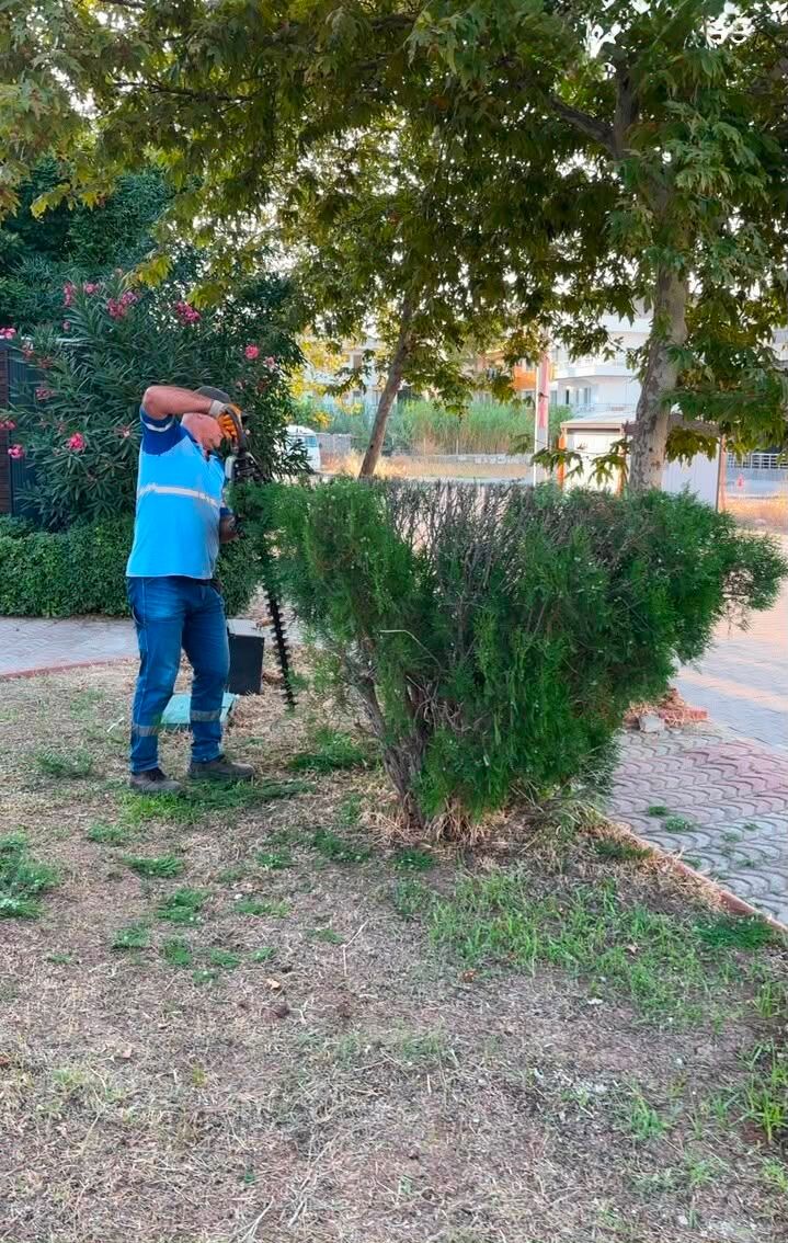 Didim Belediyesi Cevre Bakim Calismalarini Surduruyor 683038 850Dec