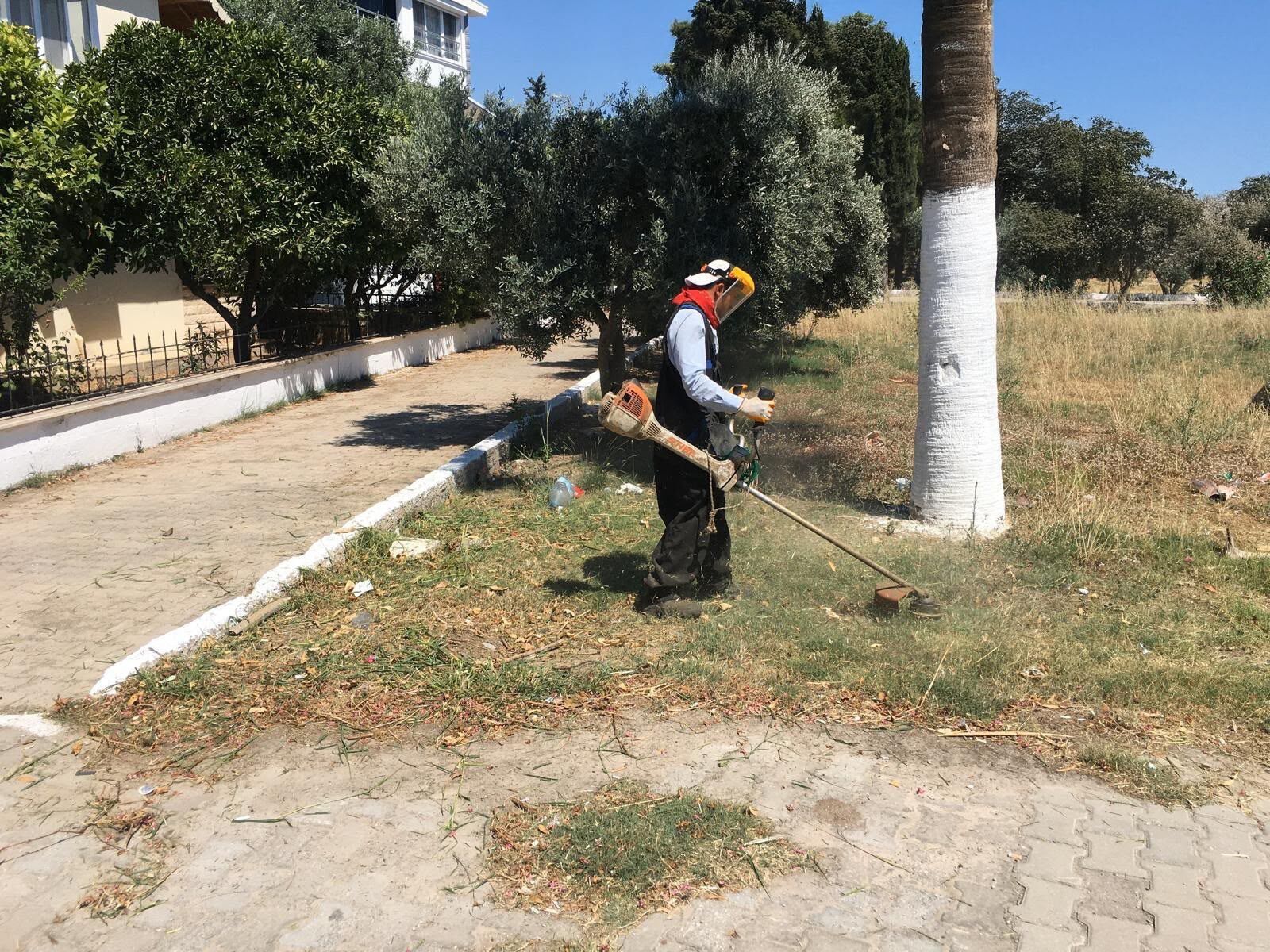 Didim Belediyesinden Kente Ozenli Dokunus Kendi Uretimi Cice 675445 Bca887