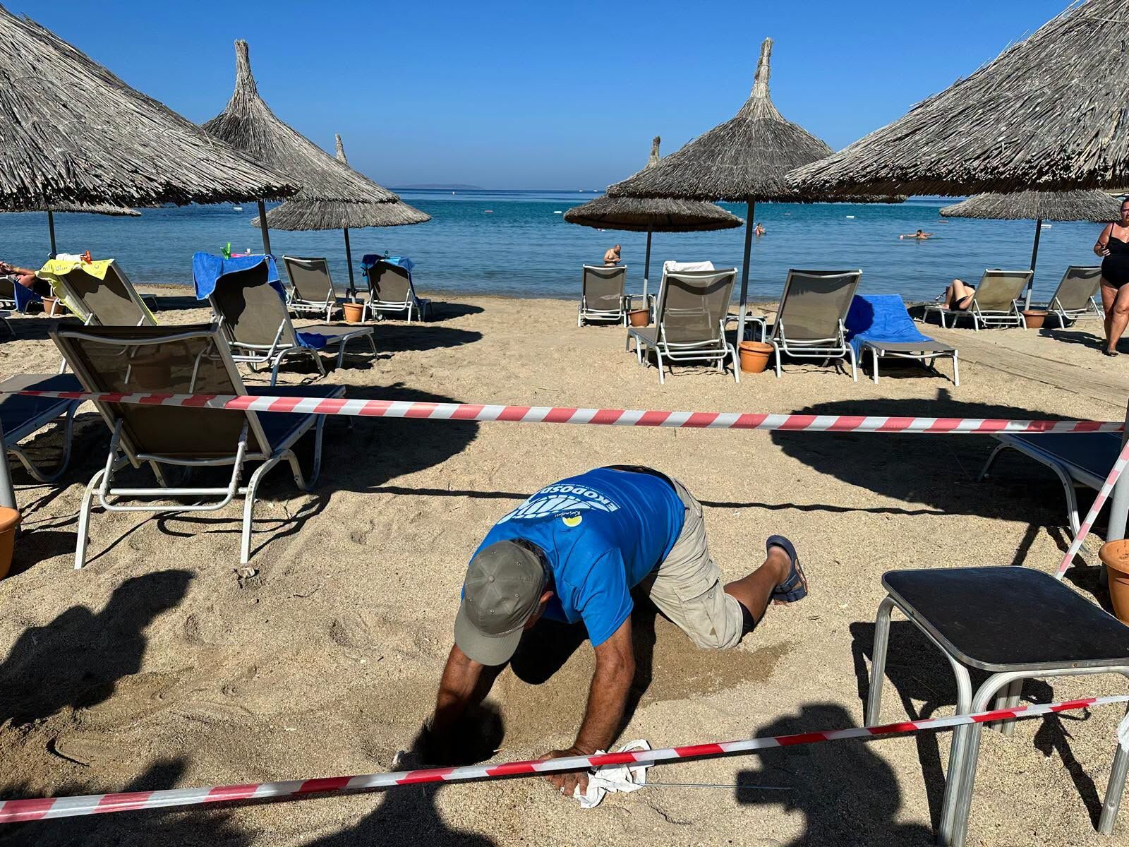 Didim'de 5 Yıl Sonra Aynı Yerde Sürpriz Gelişme Yıllar Sonra Tekrar Geldi (1)