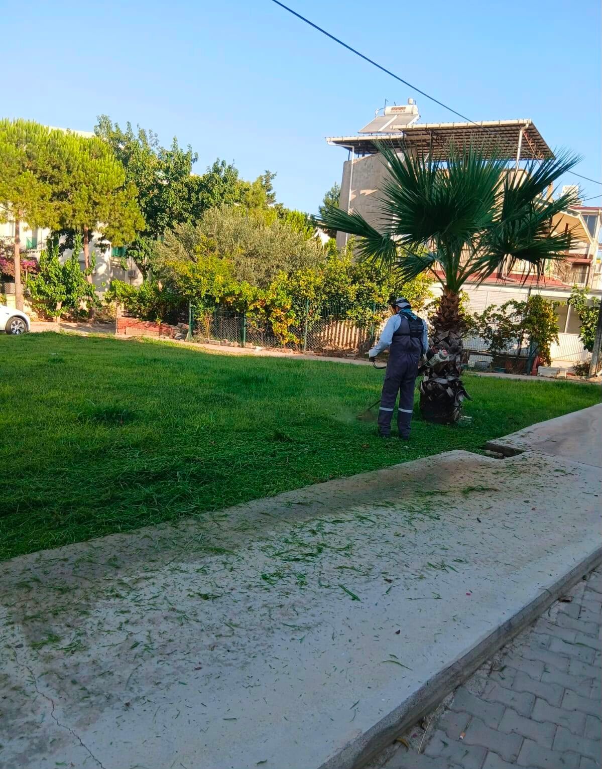 Didimde Calismalar Araliksiz Suruyor Gencay Didimin Her Nokt 681089 95Feab