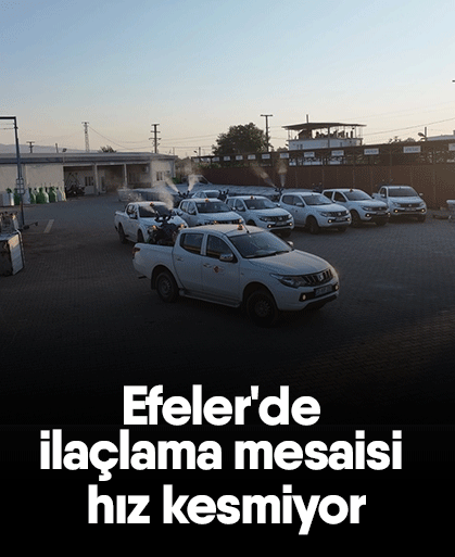 Efeler'de ilaçlama mesaisi hız kesmiyor