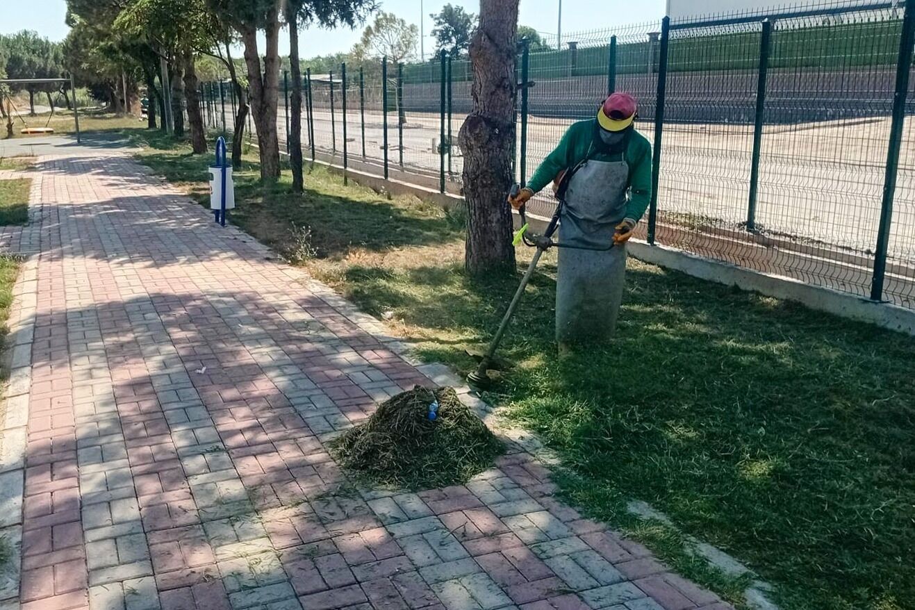 Efelerdeki Yesil Alanlarda Calisma Suruyor 679838 819Ab1