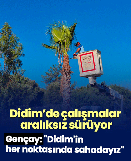 Didim’de çalışmalar aralıksız sürüyor
