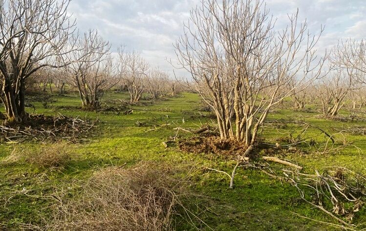 Germencik Jes Projesi’nde Kuyu Sayısı Azaltıldı! Aydın Büyükşehirin Uyarısı Projeyi Değiştirdi! (6)