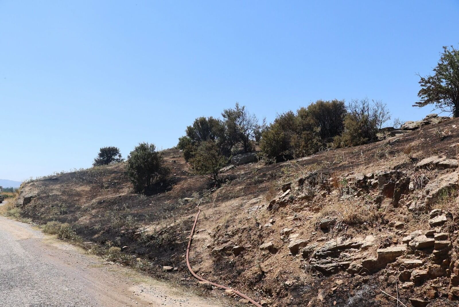 Koçarlı'daki Yangından Haber Geldi Başkan Arıcı Olay Yerine Giderek Son Durumu Bildirdi (2)