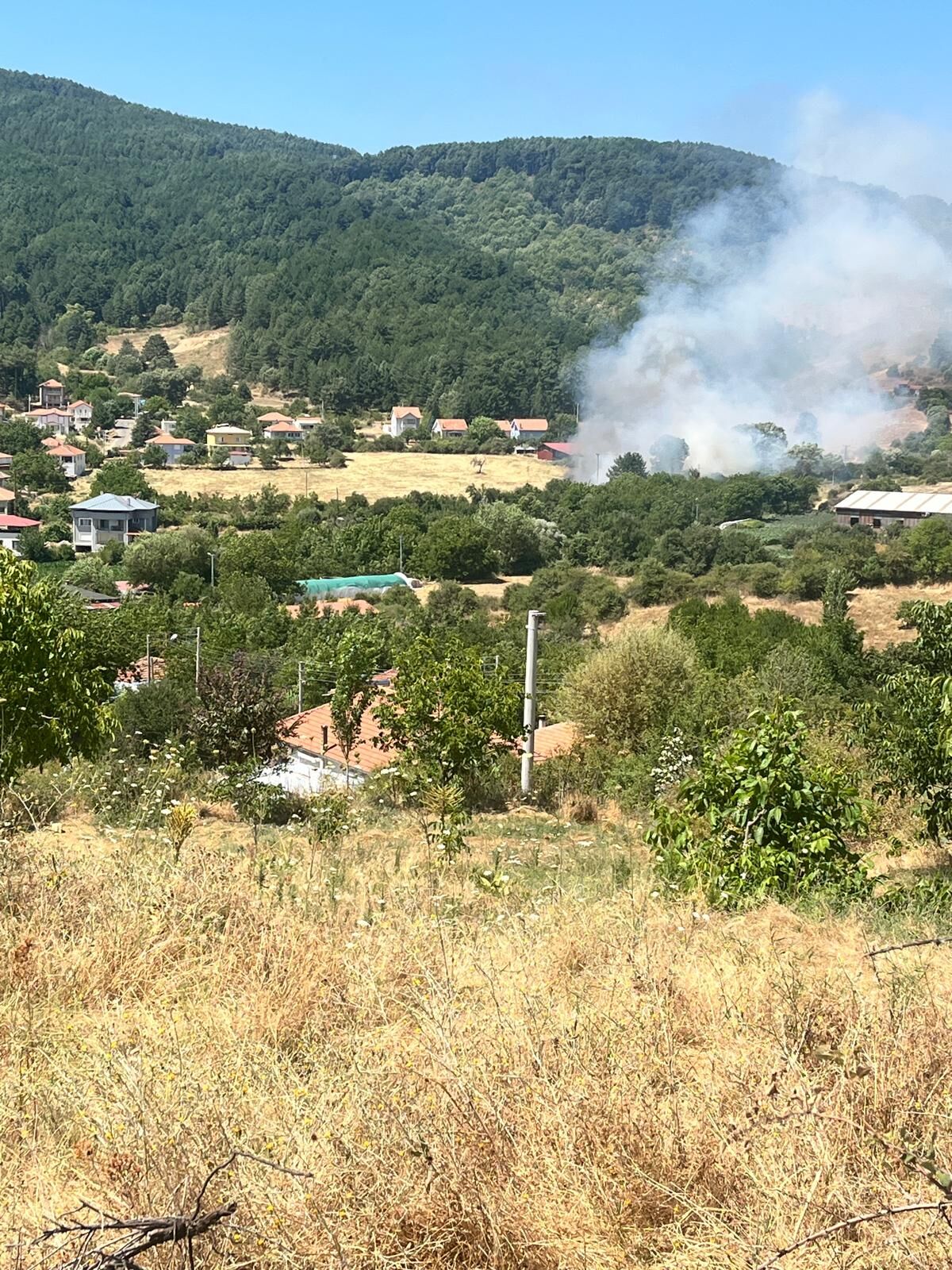 Kuyucak’ta Orman Yangını! Ekiplerin Müdahalesi Sonuç Verdi (2)