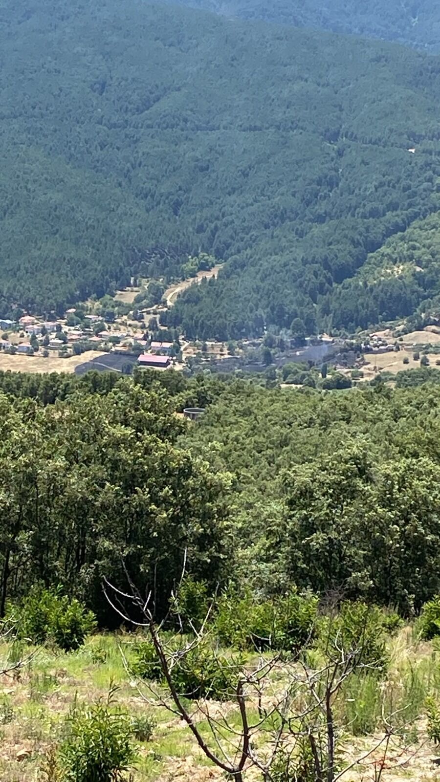 Kuyucak’ta Orman Yangını! Ekiplerin Müdahalesi Sonuç Verdi (3)