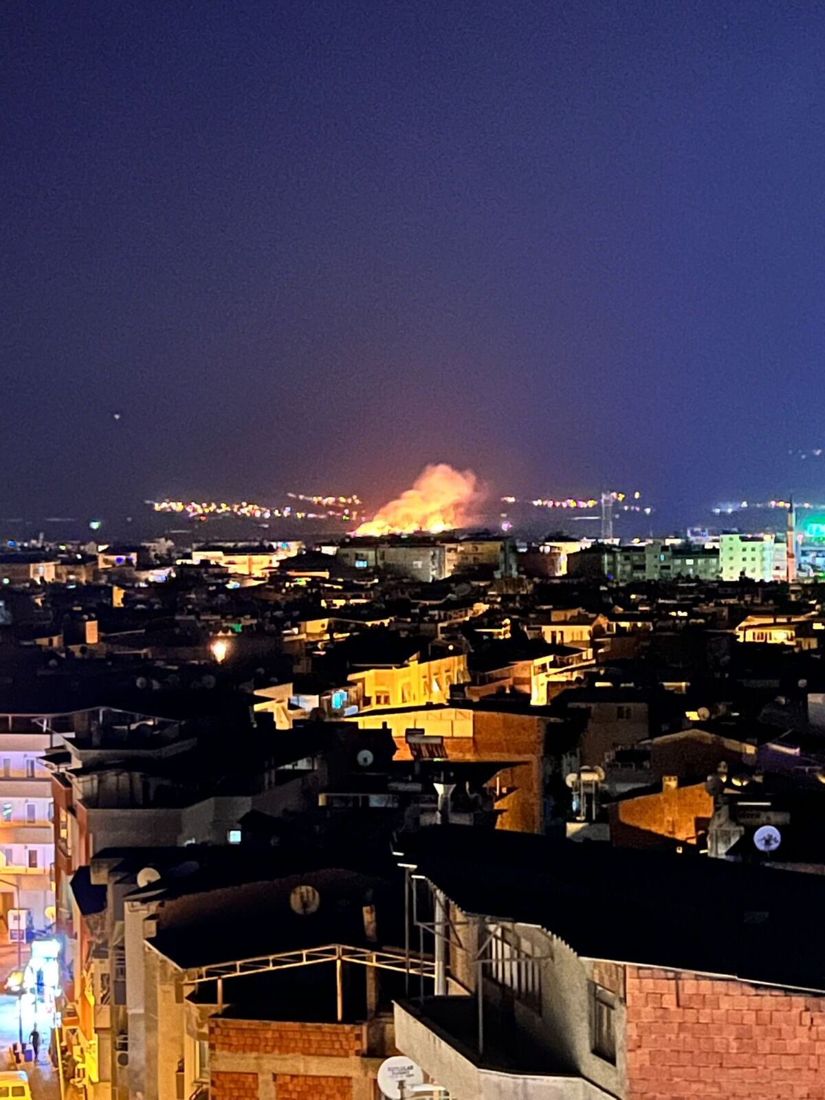 Nazilli’de Gece Yarısı Sazlık Yangını Korkuttu (1)