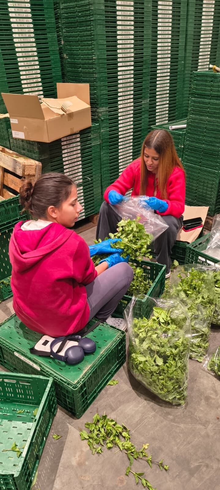 Söke’deki öğrenciler hazırladıkları proje sayesinde dünyayı dolaşıyor