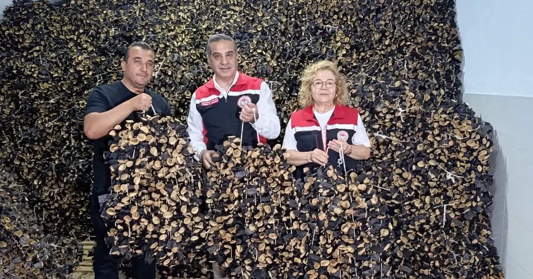 Aydın’ın “Patlıcan Vadisi”nde geleneksel, modern ile buluşuyor