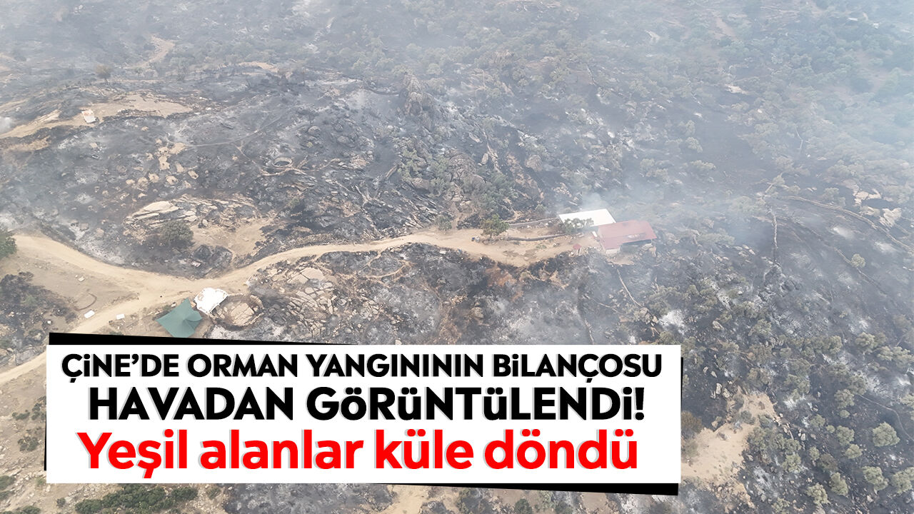 Çine’de orman yangınının bilançosu havadan görüntülendi! Yeşil alanlar küle döndü