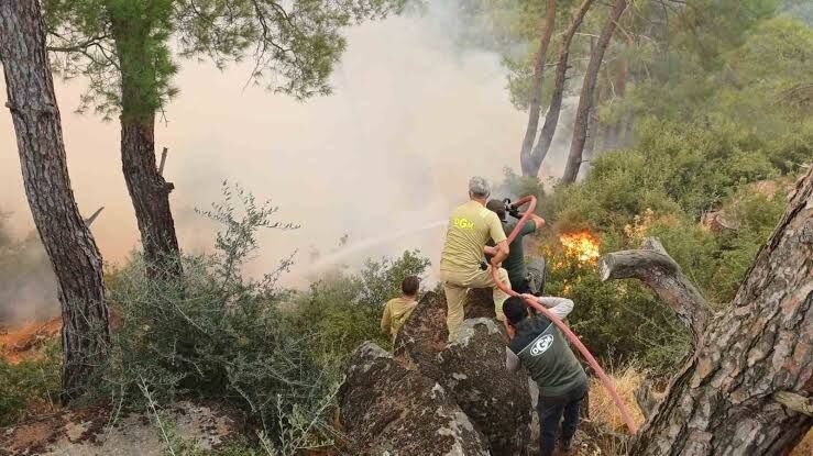 Adalet Bakanı’ndan yangın bilançosu: Aydın’da ağır ihmal!