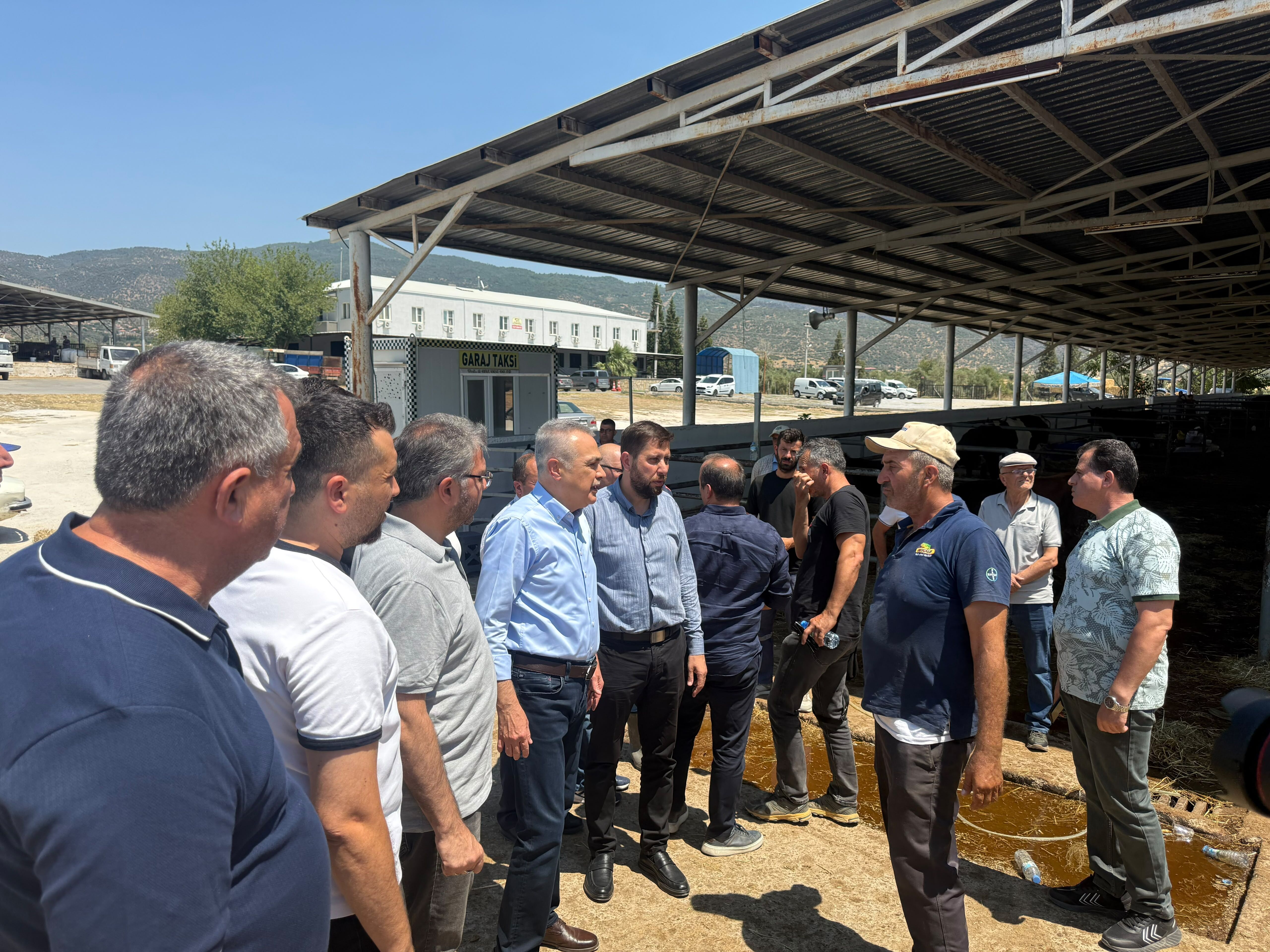 Ak Parti Aydın Heyeti Çine Hayvan Pazarın’da! Gelişmeleri Yerinde Incelediler (1)