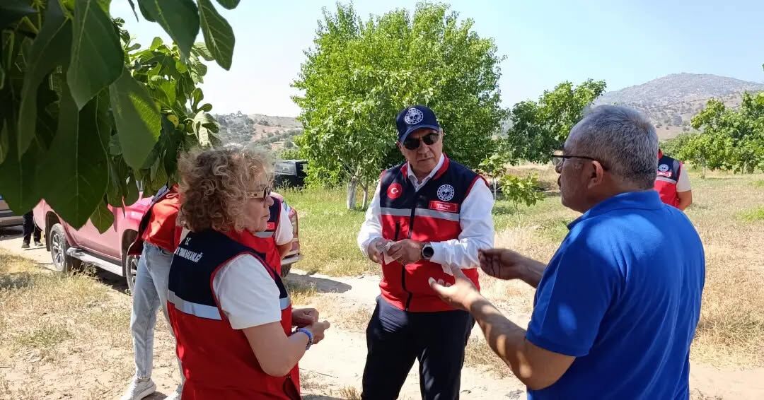 'Aydın İnciri' için yoğun denetim mesaisi sürüyor
