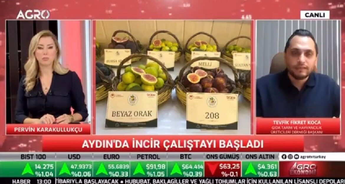 Aydın İnciri'ne 100 milyon liralık destek: TAGİAD Başkanı Koca’dan Bakan Yumaklı’ya hasat daveti
