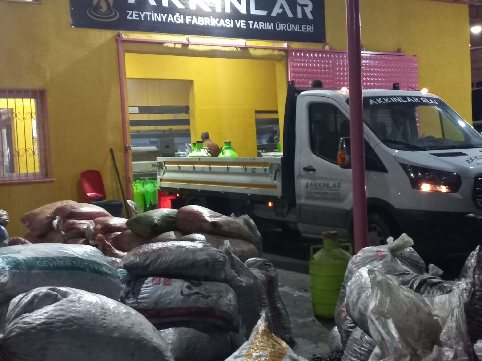 Aydına zeytin sezonu yaklaştı: Üreticiler endişeli