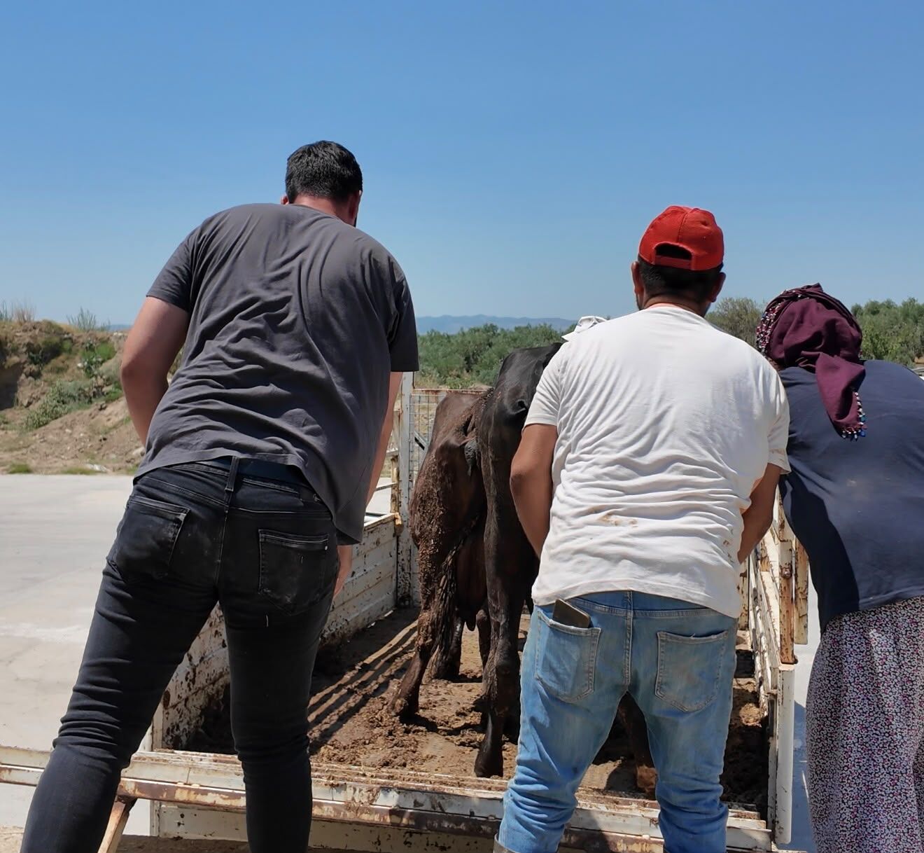 Aydın’da Acının Tablosu (1)