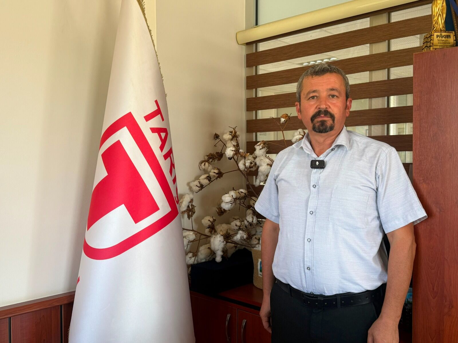 Aydın'da 'Beyaz Altın' değer kaybediyor