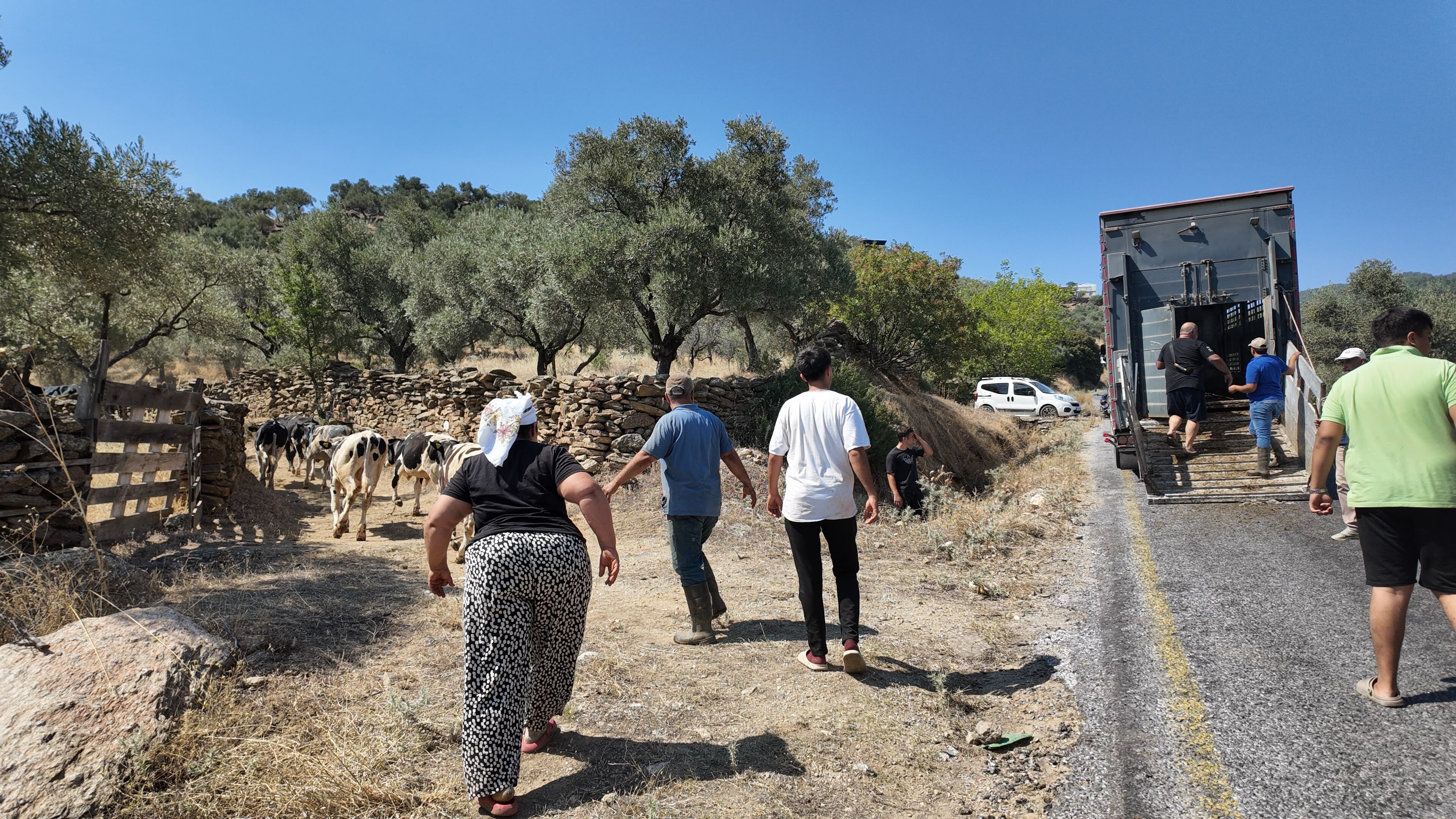 Aydın’da Buruk Tahliye! “Felaket Şeyler Yaşadık” (1)