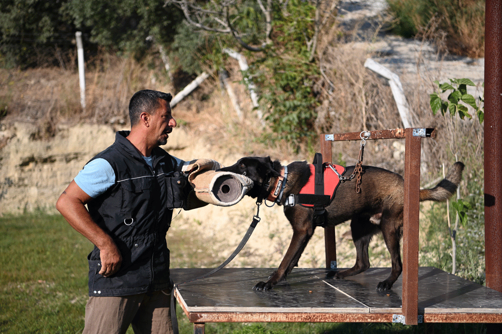 Aydın’da eğittiği köpeklerle hayat kurtarıyor