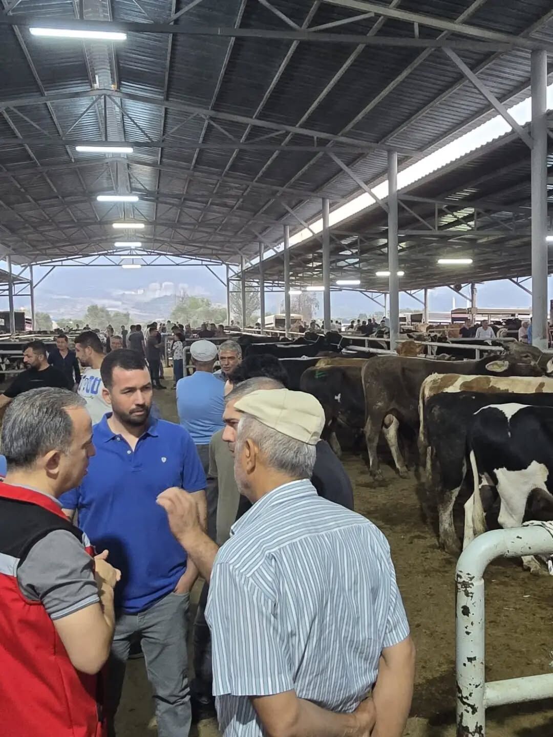 Aydın’daki hayvan pazarlarına sıkı denetim