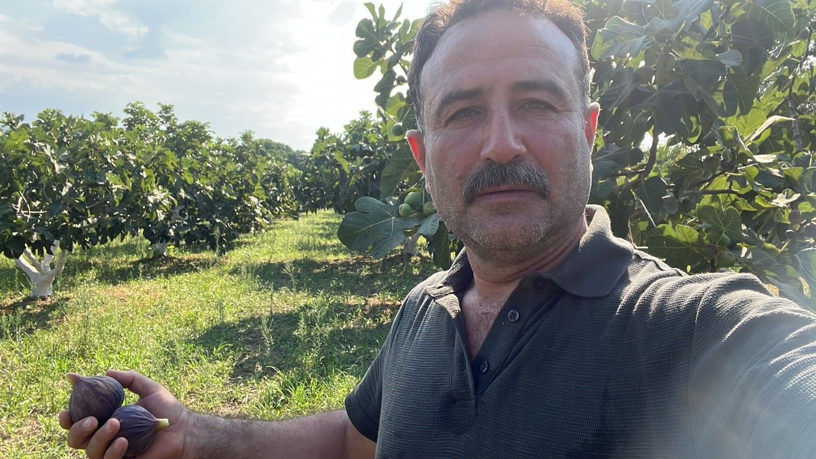 Aydınlı incir üreticisi endişeli: “Taban fiyat ve tağşiş denetimi yapılsın”