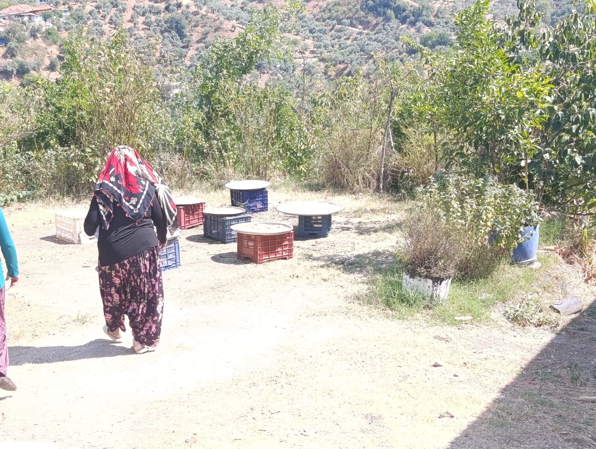 Aydınlı Kadınlar Organik Ve Sağlıklı Beslenme Için Kolları Sıvadı! Kışlık Tarhana Için Hummalı Hazırlık (2)