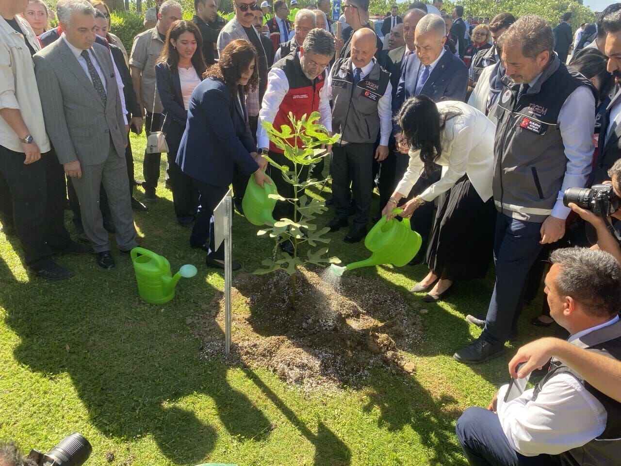 Bakan Yumaklı incir fidanı dikti: "Aydın'da bir dikili ağacım olmuş oldu"