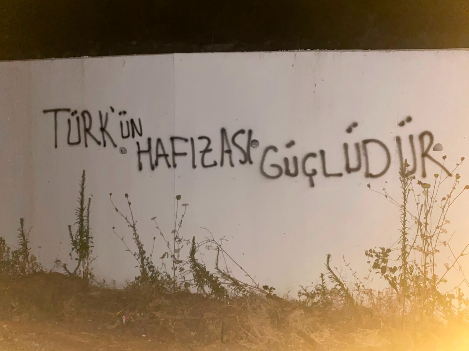 Bozdoğan’da 'Çerçeve Yasa' Tepkisi Duvarlara Yansıdı (1)