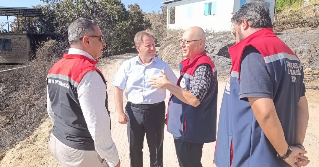 Çine'de Yangın Sonrası Hasar Tespit Çalışmaları Sürüyor Müdür Temiz Ve Beraberindeki Heyet Sahaya Çıktı (2)
