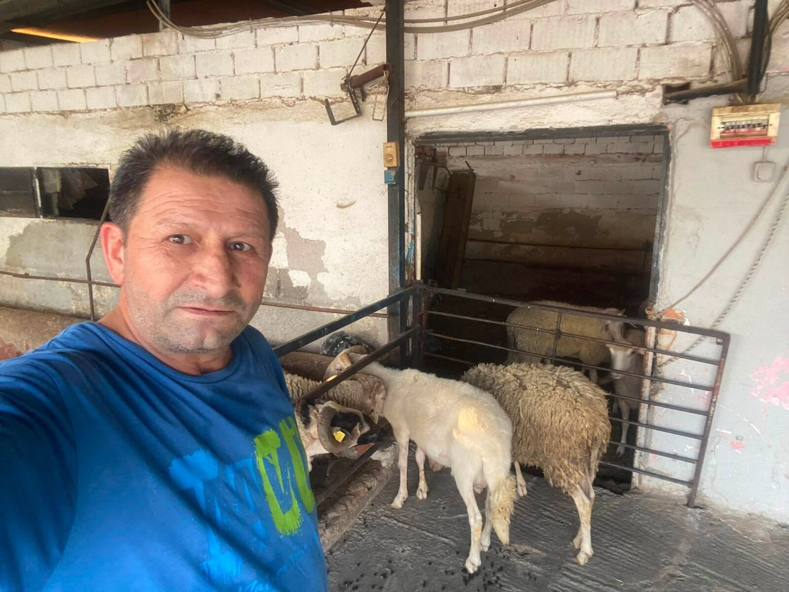Çine’deki yangın mağduru hayvan üreticilerine destek kampanyası