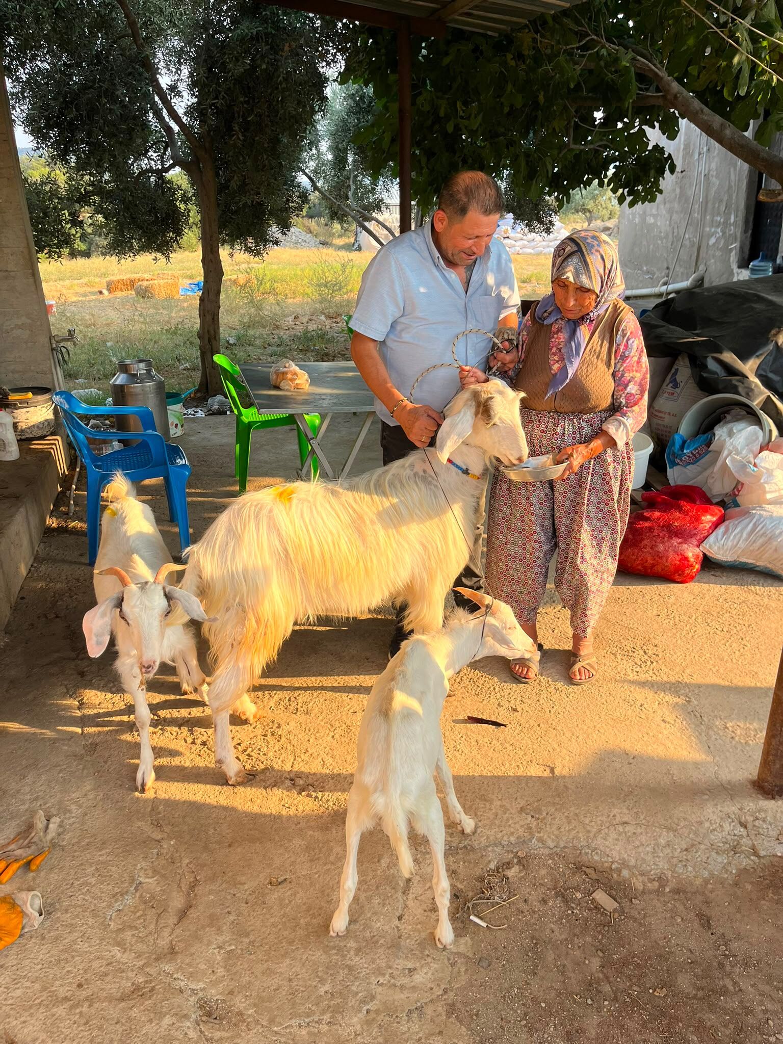 Çine'deki yangında kaybettiği köpeği için gözyaşı dökmüştü Arzu Celep için anlamlı destek
