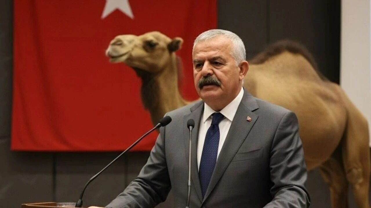 Deve güreşlerinde sezon öncesi flaş düzenleme: DEGÜF yeni kuralları açıklayarak uyardı