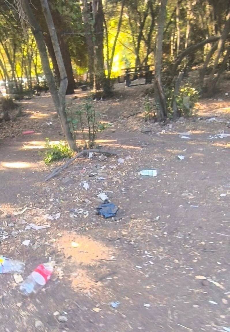 Di̇lek Yarimadasinda İçler Acisi Görüntü (2)