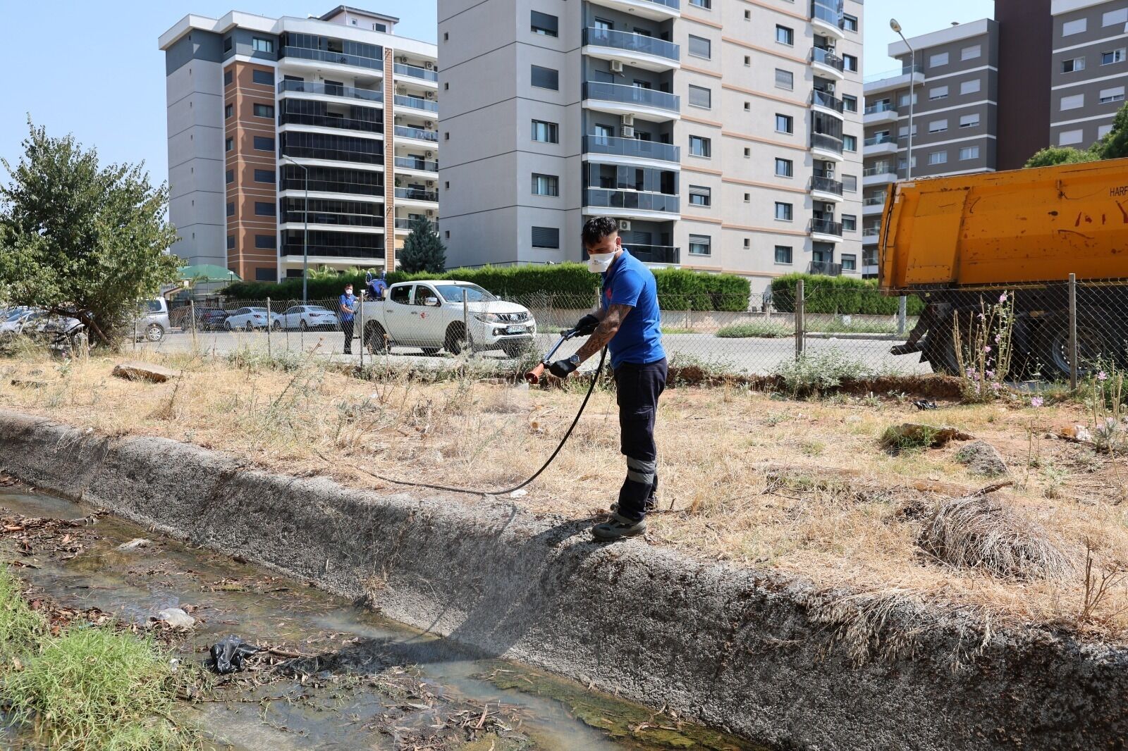 Efelerde Ilaclama Calismalari Suruyor 684040 C34Db2