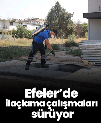 Efeler’de ilaçlama çalışmaları sürüyor