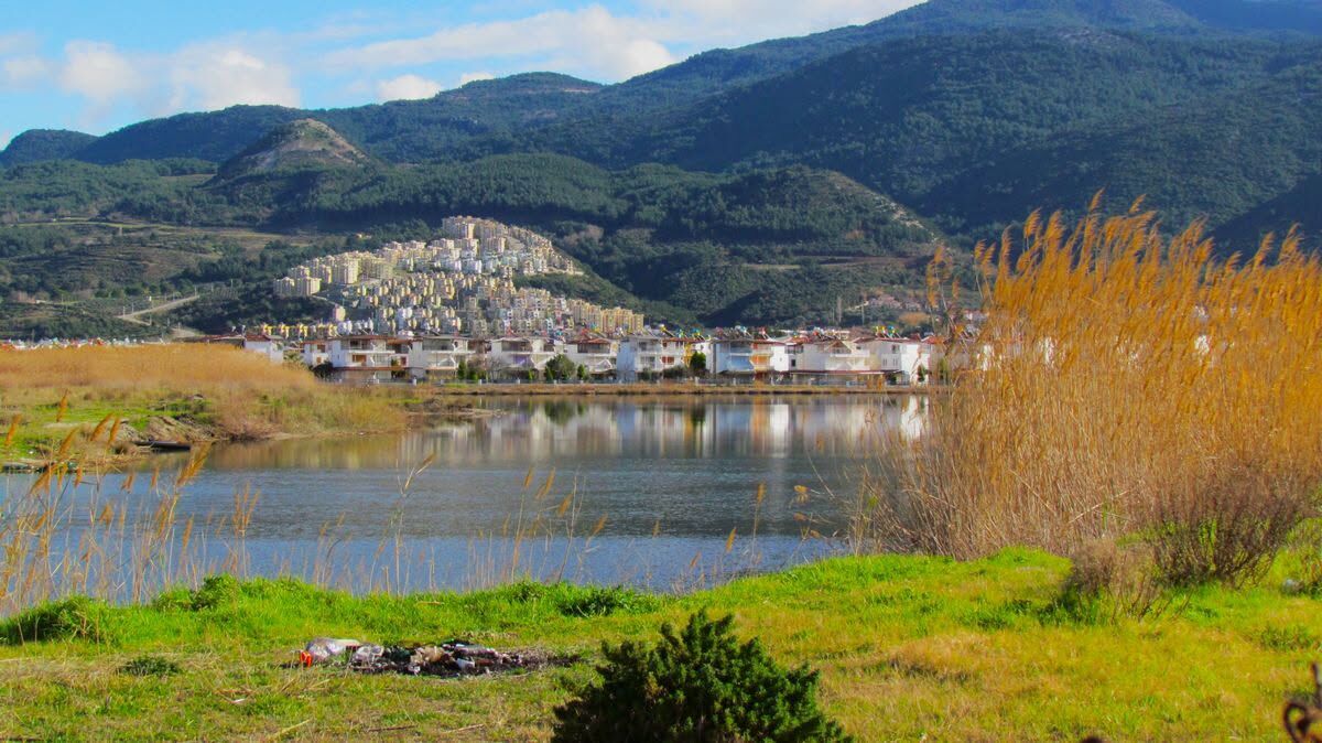 Kuşadası’ndaki Kocagöl için kritik çağrı: “Kendi küçük ama ekolojik önemi ve sorunları büyük”