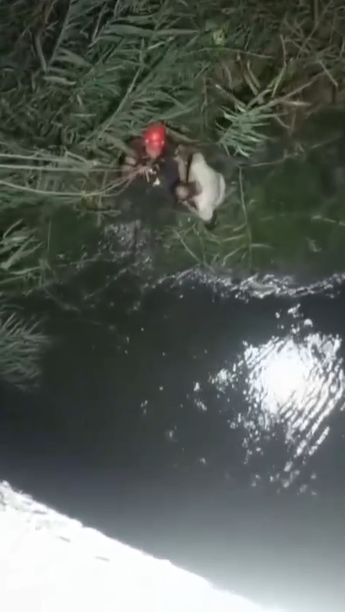 Nazilli’de korku dolu anlar! Nehre atladı, adacıkta mahsur kaldı