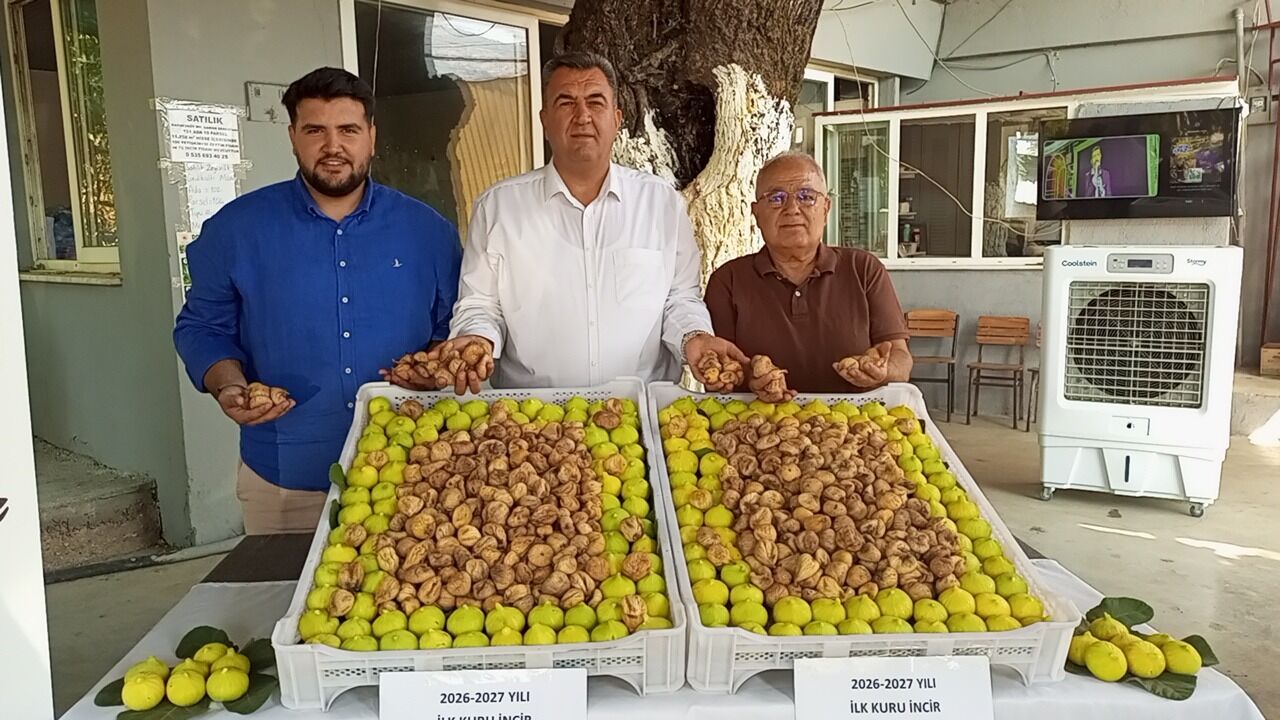 Nazilli’de sezonun ilk inciri alındı