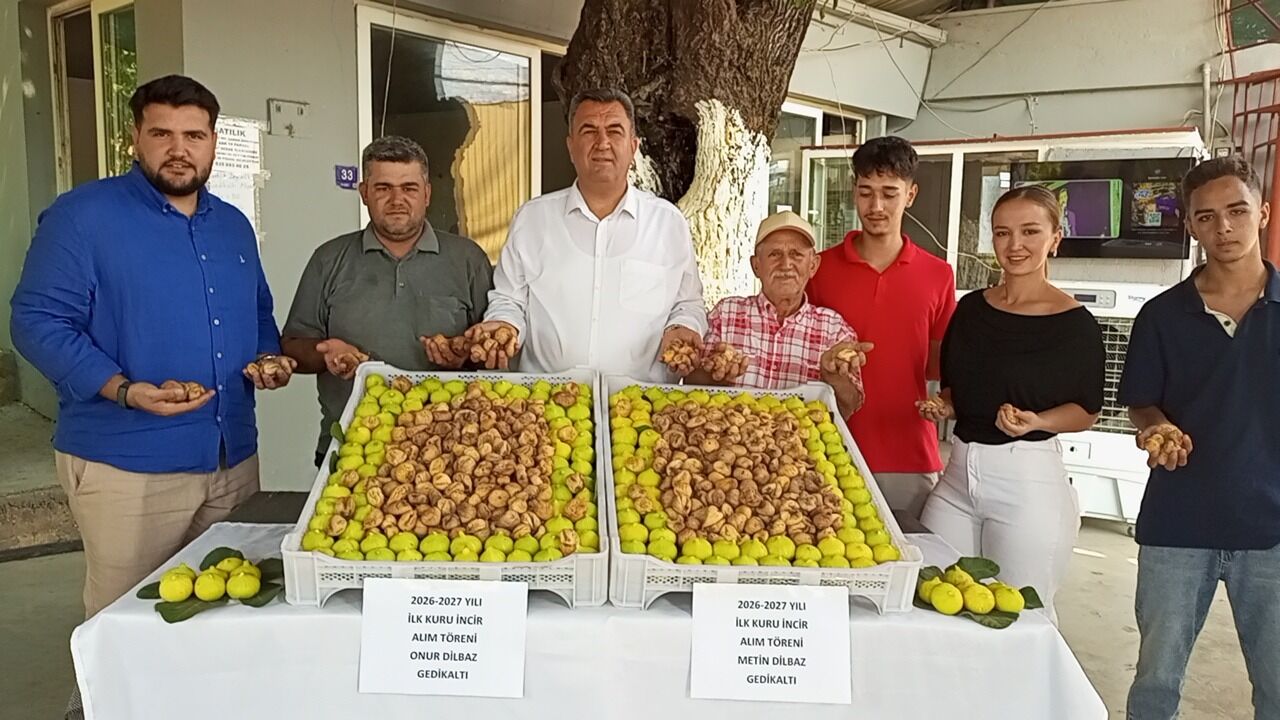 Nazilli’de sezonun ilk inciri alındı