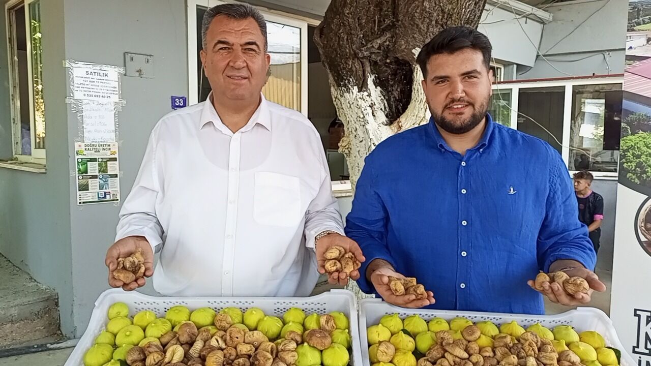 Nazilli’de sezonun ilk inciri alındı