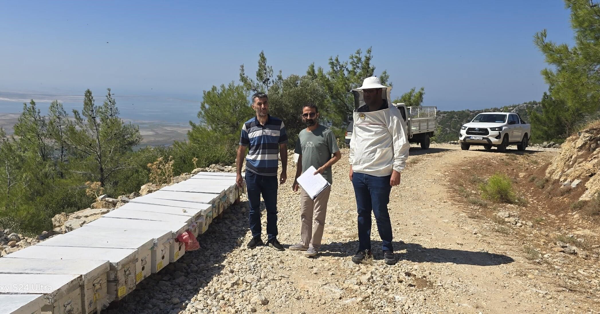 Söke’de Arılı Kovanlar Tek Tek Kontrolden Geçiyor (1)