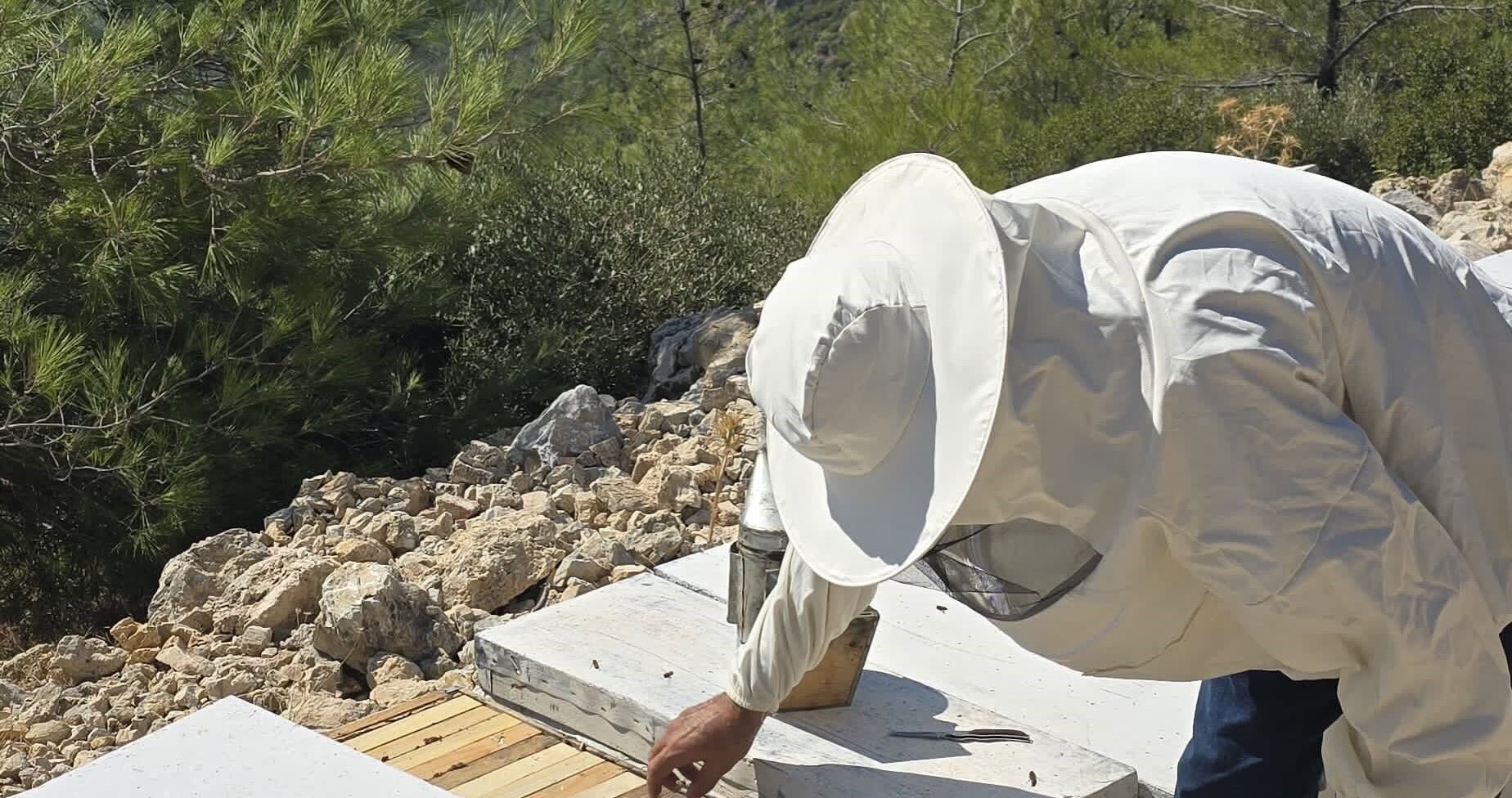 Söke’de Arılı Kovanlar Tek Tek Kontrolden Geçiyor (4)