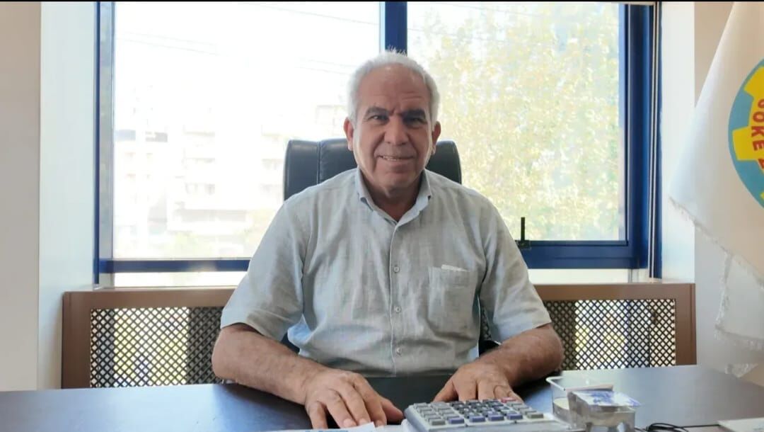 Söke’de pamuğa “elveda”! Ayçiçeği hasadı başladı