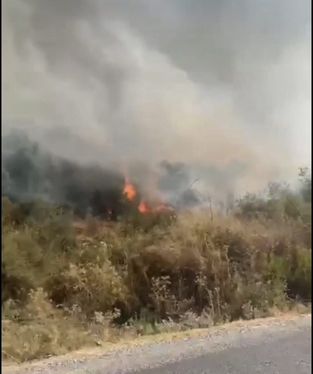 Sökede Yangın (1)