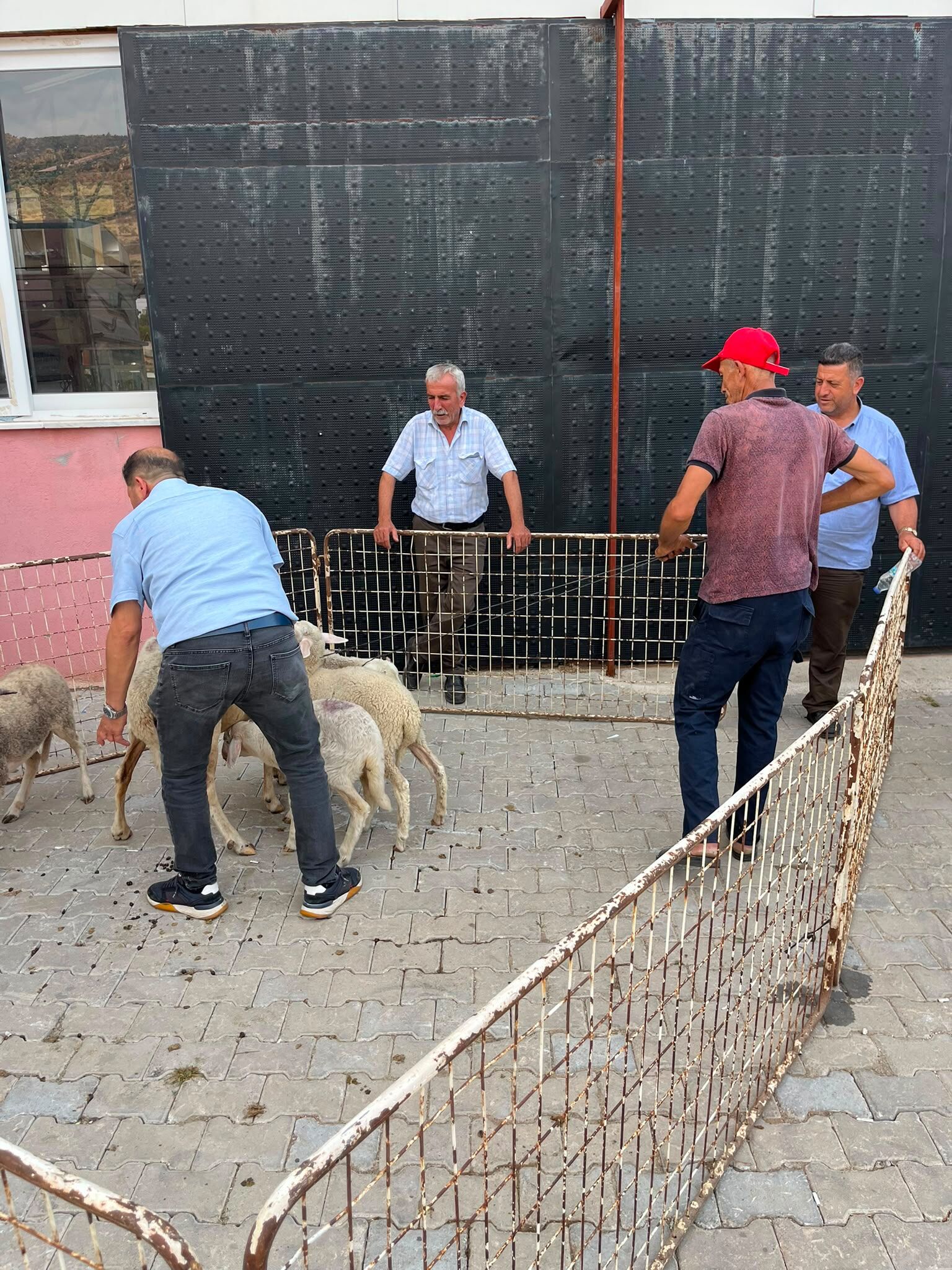 Çine’deki afetzedeler için başlatılan kampanya büyüdü